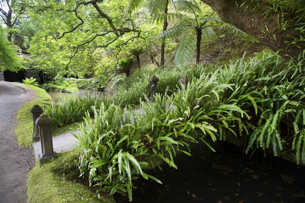 Parkın güzel manzarası
