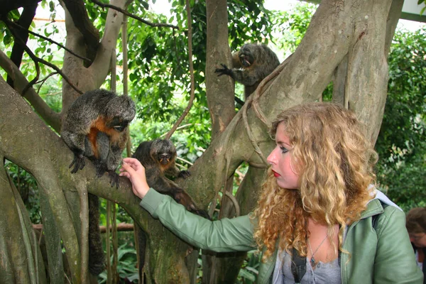 一个带着猴子的女人的无名画像 — 图库照片