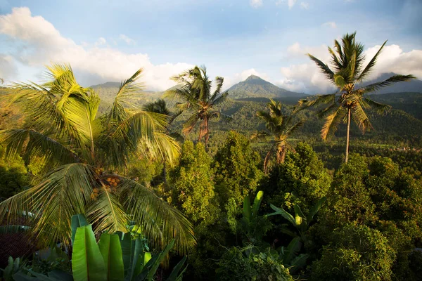 Yoğun yeşil yağmur ormanı manzarası ve arka planda kalderanın tepesi bir volkan.