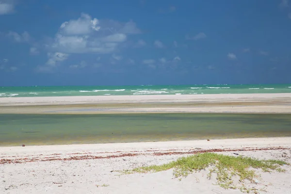 Güzel tropikal plaj manzarası