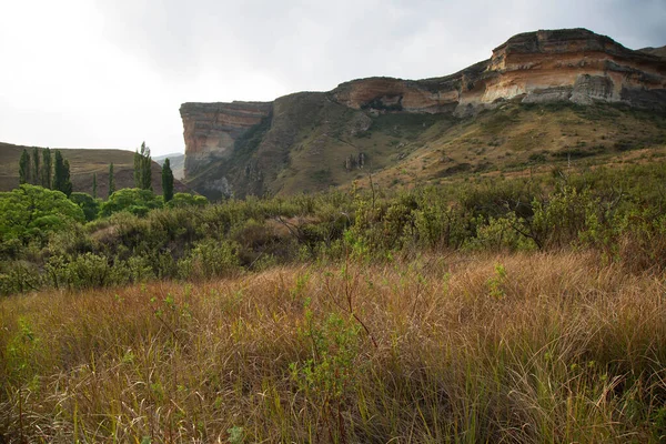 Paisaje Montañoso Panorámico Con Hierbas Secas Matorrales Rocas — Foto de Stock