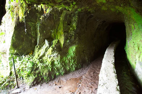 Doğanın güzel manzarası
