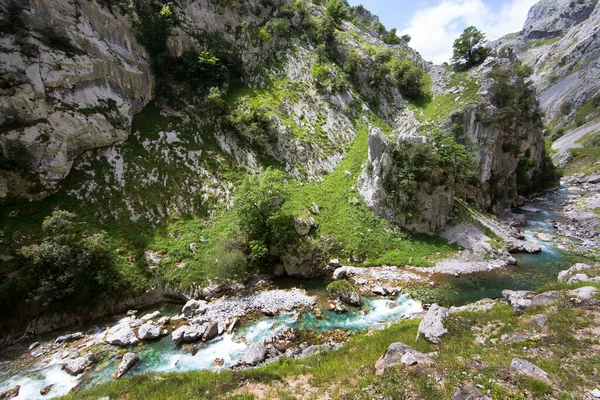 Dağ nehrinin güzel manzarası