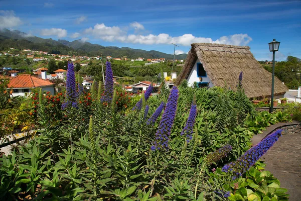Casas Rurales Tradicionales Turísticas Santana Madeira Con Techo Triangular Paja — Foto de Stock