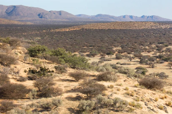 Bela Paisagem Área Deserto — Fotografia de Stock