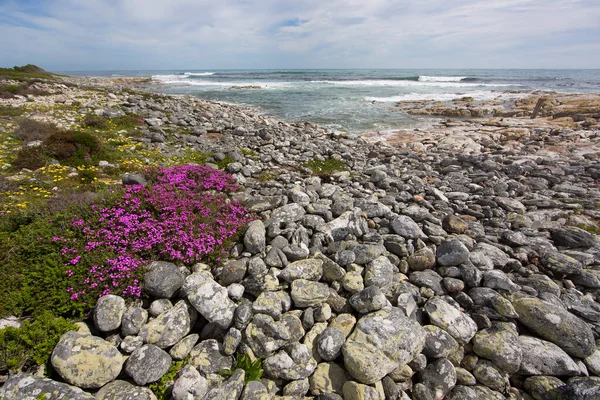 Deniz kıyısının güzel manzarası