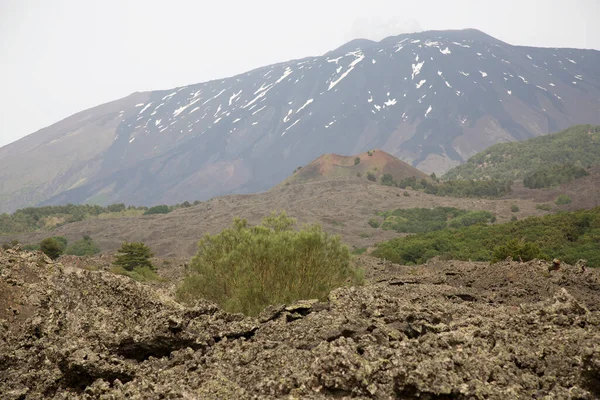 Pittoresca Vista Sulla Valle Con Montagne Sullo Sfondo — Foto Stock