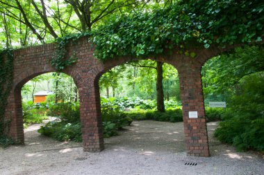 Yazın güzel bir bahçe