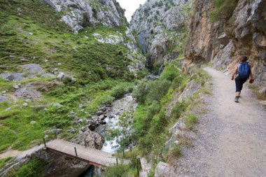 Sırt çantalı bir kadın dağda yürüyüş yapıyor.