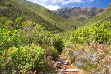 Dağları ve mavi gökyüzü olan güzel bir manzara. 