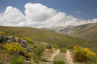 Dağların güzel manzarası. 