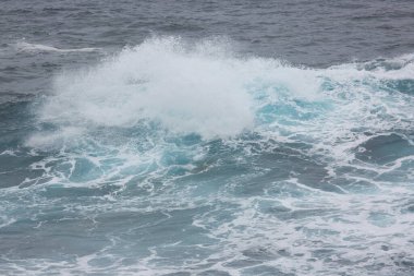 Dalgalar sahile çarpıyor.