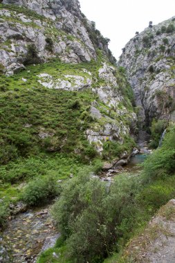Dağ nehrinin güzel manzarası
