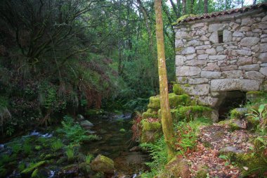 Parkın güzel manzarası