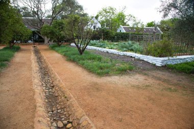 Avustralya 'da güzel bir bahçe manzarası