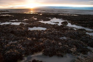 Denizin üzerinde güzel bir gün batımı