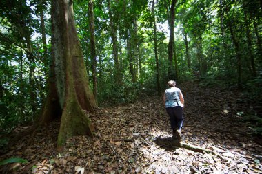 Sırt çantalı bir kadın ormanda yürüyor.