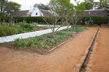 Avustralya 'da güzel bir bahçe manzarası