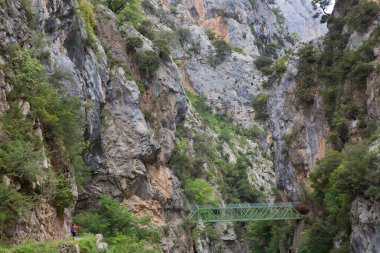 Dağlardaki köprünün manzarası