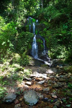 Ormanda güzel bir şelale 