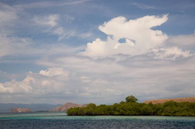 Güzel deniz manzarası