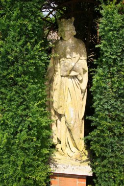 Güzel bir bahçe manzarası