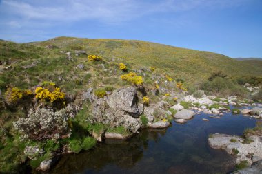 Dağların güzel manzarası. 