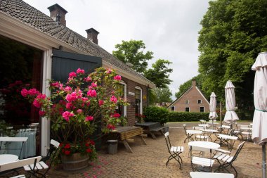 Bahçedeki güzel evler