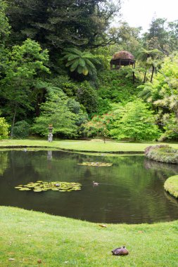 Parkın güzel manzarası
