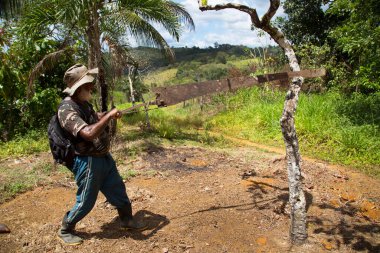 Orman sahnesinde ağaç kesen adam, seyahat sahnesi