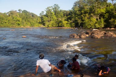 Ormandaki nehre bakan insanlar