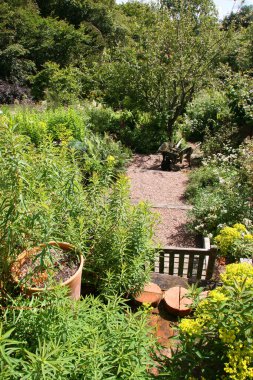 Yeşil bitkileri olan güzel bir yaz bahçesi