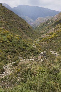 Sicilya 'nın dağları arasında çiçek açan kırsal arazi