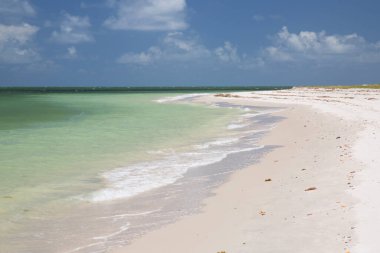 Güzel tropikal plaj manzarası