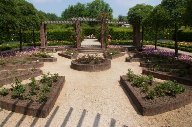 Gün ışığında çiçek açan güzel bahçe sahnesi