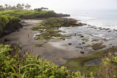 Doğanın güzel manzarası