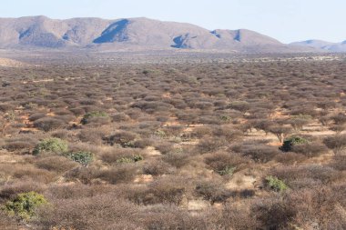 Çölün güzel manzarası