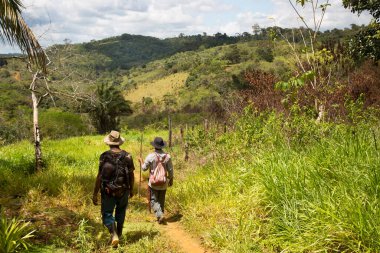 Dağ ormanlarında yürüyüş yapan insanlar
