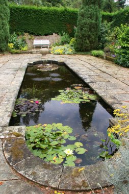 Güzel bir bahçe manzarası