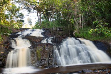 Tropikal ormanda akan kayalık nehir manzarası