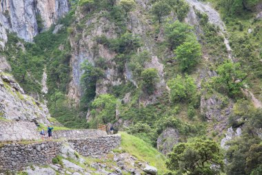 Dağlarda yürüyüşçüler, Kuzey İspanya.