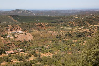 Tarlaları ve meyve bahçeleri olan tepelik tarlalara bak