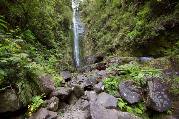 Великий Водоспад Лісі — стокове фото