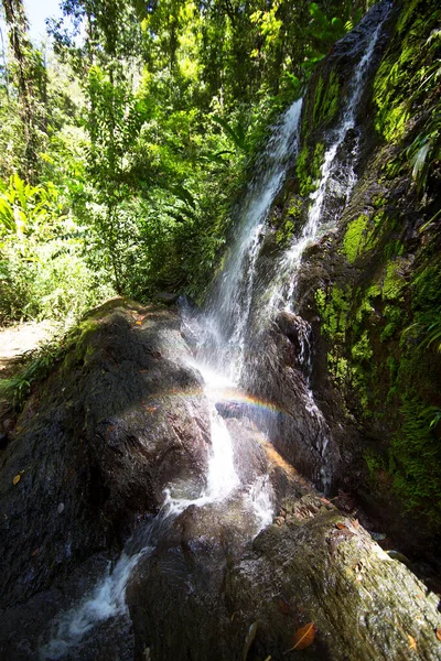 森林中美丽的瀑布 — 图库照片