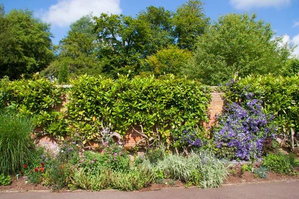 Beautiful View Botanical Park Greenhouses — Stock Photo, Image