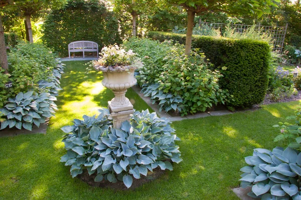 Beautiful Garden Summer — Stock Photo, Image