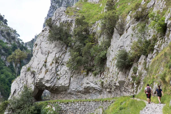 Dağlarda yürüyüşçüler, Kuzey İspanya.