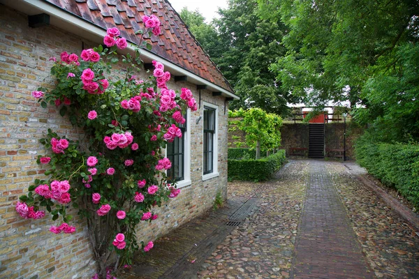 Die Nachbarschaft Eines Kleinen Dorfes Niederlande — Stockfoto