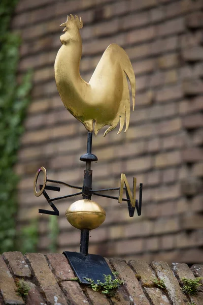 Golden Weathercock Top Roof — Stock Photo, Image