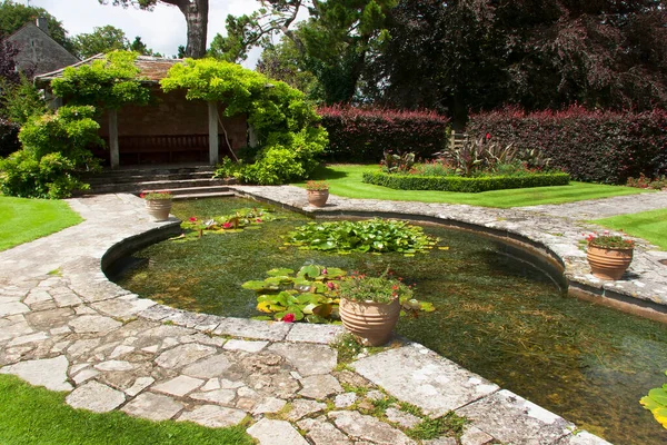 Beautiful Garden Flowers Pond — Stock Photo, Image